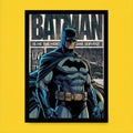 Batman Dark Knight Frame