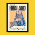 Haaland King Frame