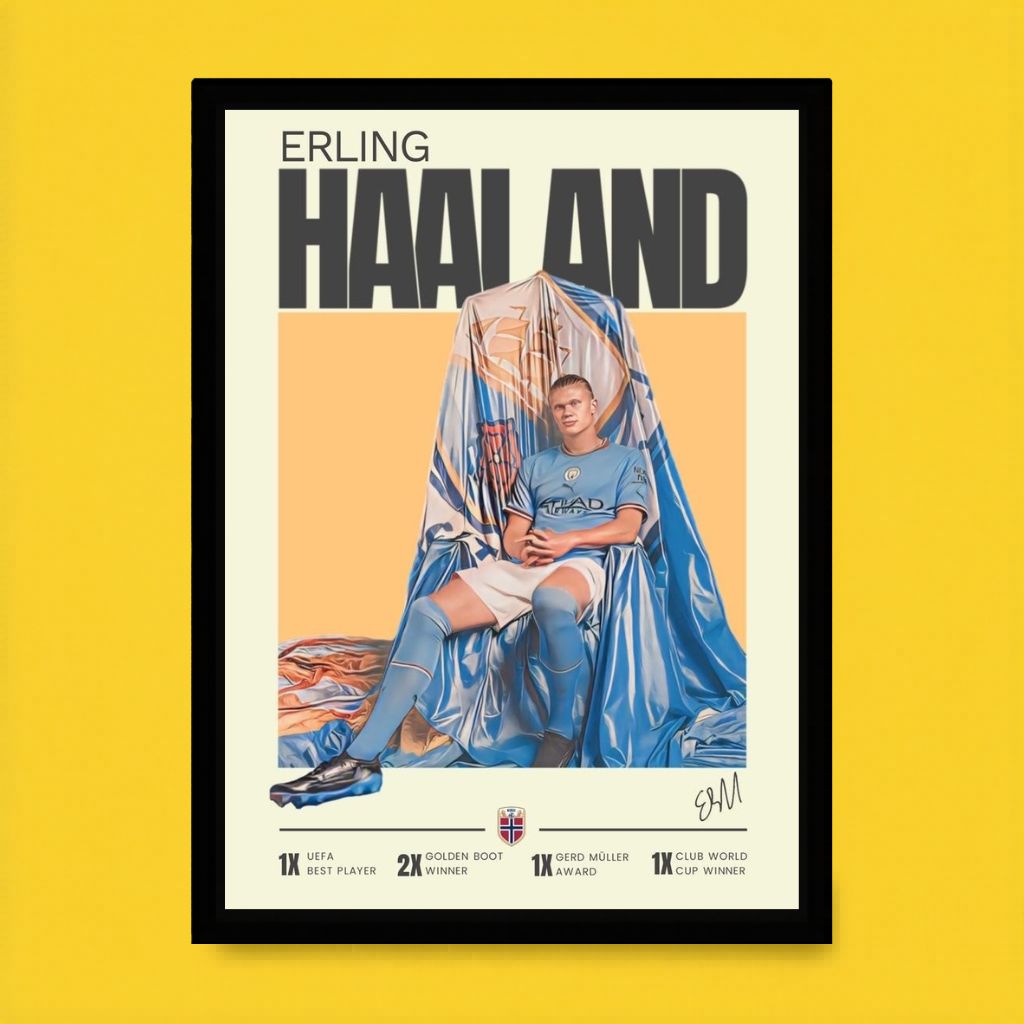 Haaland King Frame