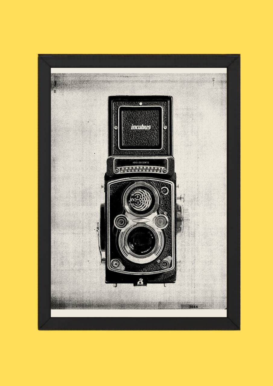 Vintage Camera Minimal Poster